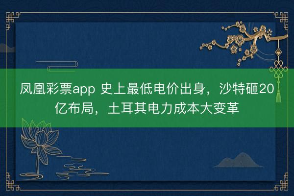凤凰彩票app 史上最低电价出身，沙特砸20亿布局，土耳其电力成本大变革