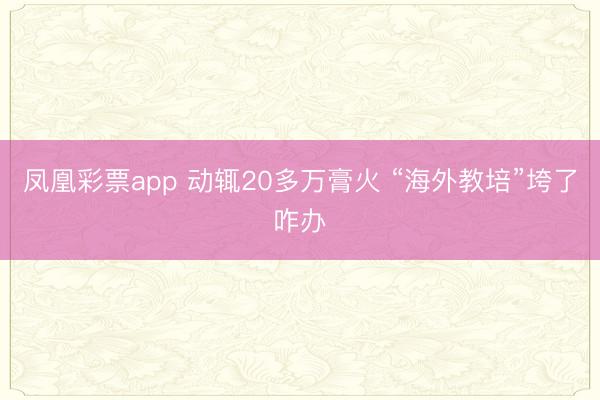 凤凰彩票app 动辄20多万膏火 “海外教培”垮了咋办