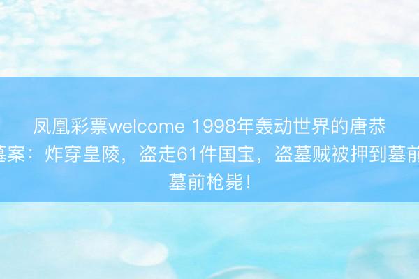 凤凰彩票welcome 1998年轰动世界的唐恭陵盗墓案：炸穿皇陵，盗走61件国宝，盗墓贼被押到墓前枪毙！